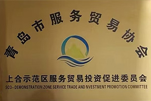 青岛市服务贸易协会